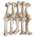 Čistilne stenjice za orožje Bundeswehr nemška vojska novo ×80 kos
